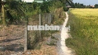 Bán đất thổ cư gần chợ Tân Trụ, Long An, TP.HCM, 168m2, giá 600tr