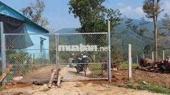 Vườn măng cụt chôm chôm 9000 m2 thị trấn Đạ MRi