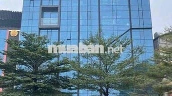 💥Bán MẶT PHỐ KD – VỈA HÈ 10M SỔ HOÀN CÔNG - 242m2 12T MT 22m - 255tỷ💥