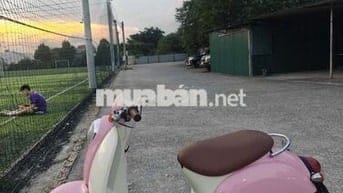 Cần bán xe Honda scoopy 50cc