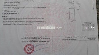 CẦN BÁN ĐẤT Đ.Nguyễn Văn Bứa xã Xuân Thới Sơn DT 81m2 giá 1,5 tỷ, SHR