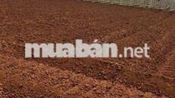 CHÍNH CHỦ CẦN BÁN NHANH LÔ ĐẤT Xã N'Thôn Hạ, Đức Trọng, Lâm Đồng