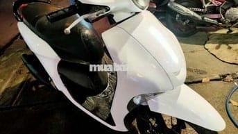 Xe janus