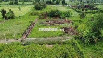 Bán Đất 500m2 Ngay Võ Văn Bích Bình Mỹ Củ Chi