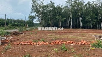 ĐẤT ĐẸP LONG HÀ- ĐỒNG NAI giá chỉ từ 300tr/sổ với diện tích 400m2