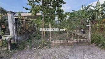 Bán Đất Củ Chi : 5x29 - 100% Thổ Cư - Tân An Hội. Giá 980 triệu