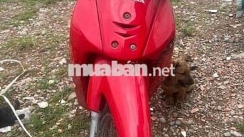 xe đi cầy