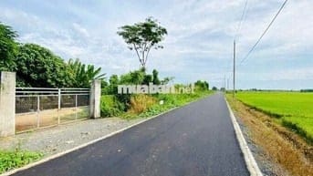 Bán đất tại Xã Láng Dài, Long Đất, Bà Rịa Vũng Tàu, 24 tỷ, 8000 m2