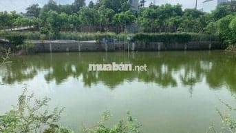 CC BÁN 2LÔ ĐẤT VIEW HỒ TOÀN PHẦN TẠI THÔN HÒA TRÚC XÃ PHÚ CÁT HÀ NỘI