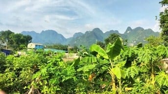 1260m ngay trung tâm thị trấn giá rẻ chỉ 3tr/m giá rẻ kim Bôi HB