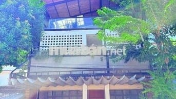 CHO THUÊ NHÀ NGUYÊN CĂN 3 TẦNG TRẦN VĂN DƯ TRỤC THÔNG BIỂN