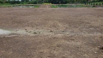 BÁN 4291 M2 ĐÂT, THỬA SỐ 86 TỜ BẢN ĐỒ SỐ 3, SỐ 7 PHẠM THÁI BƯỜNG