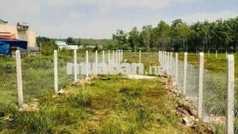 125M2 ĐẤT ĐẸP BÀ THIÊN NHUẬN ĐỨC ĐẦU TƯ HAY XÂY NHÀ ĐỀU LỢI NHUẬN CAO
