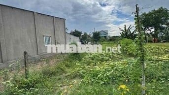 ĐẤT ĐẸP - GIÁ TỐT - CẦN BÁN GẤP LÔ Đất ĐẸP Tại Ấp 3 - Bàu Đồn - Gò Dầu