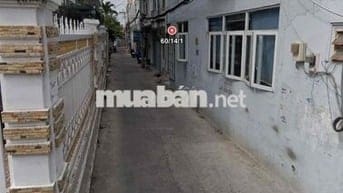 cho nữ sinh viên ở ghép nuôi mèo