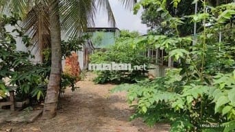 Đất Khu Phố 3, thị trấn Cần Giuộc