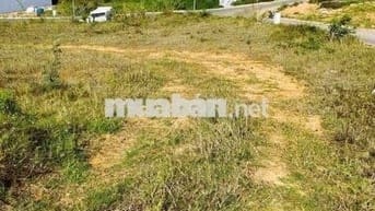 Bán Đất nền dự án tại An Sơn, Phường4, Đà Lạt. Diện tích: 278m2,14,2tỷ