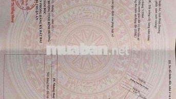 chính chủ cần bán lô đất MT vĩnh phú 38. DT 313m2 cách bờ kè sông 150m