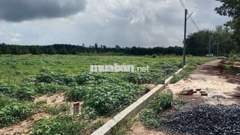 Chính chủ bán gấp đất 5x60m, sổ hồng riêng, thổ cư sẵn, cách chợ 500m