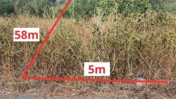 Công ty Đấu giá hợp danh Lam Sơn Sài Gòn THÔNG BÁO ĐẤU GIÁ TÀI SẢN