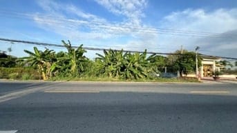 Bán đất tại Quốc lộ 91, Mỹ Phú, Châu Phú, An Giang, 35 tỷ, 1700 m2