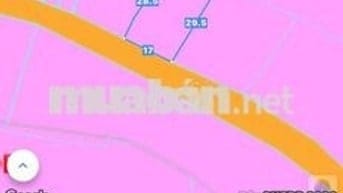 🌈🌈🌈2 lô diện tích nhà vườn liền kề - Cao Văn Ngọc- Thị Trấn Đất Đỏ-BRV