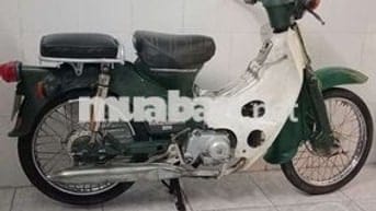 Xe Cúp 50