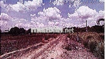 Bán ĐGTS đất tại TĐ số: 357, xã Xuân Bắc, tỉnh Đồng Nai