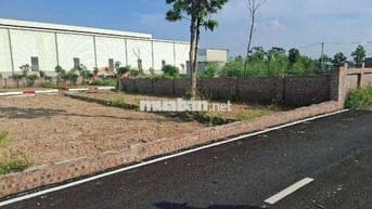 💥ĐẤT ĐẸP FULL THỔ CƯ – 2 MẶT TIỀN Ô TÔ TRÁNH – GẦN SÂN GOLF MINH TRÍ