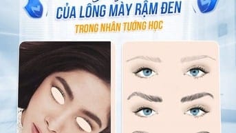 Ý nghĩa lông mày rậm đen trong tướng học