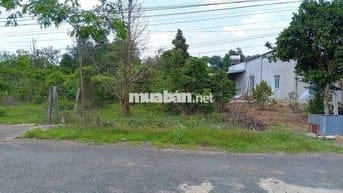 ĐƯỜNG NHỰA, CHỦ NGỘP CẦN BÁN, CHỦ MUA 2TY6, NAY BÁN CẮT LỖ 1TY750