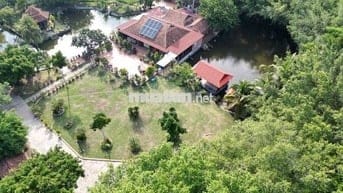 Bán 10000m2 Đất - Bình Chánh - Sẵn Nhà Vườn - Nghĩ Dưỡng - Giá Đầu Tư