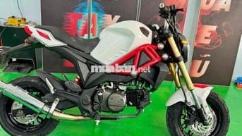 Ducati mini xe hiếm mới về, xe đẹp liền lạc , re