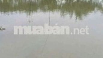 Chủ cần bán  nhà vườn cây ăn trái có ao nuôi cá giá rẻ