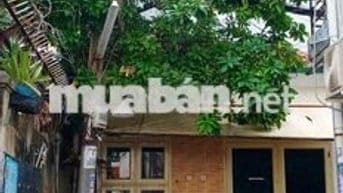 Thông tin: cho thuê hoặc bán. Giá cho thuê 13t/ tháng.