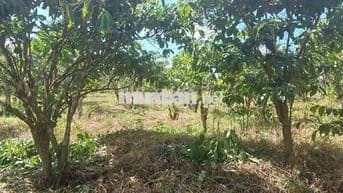 Đất thôn 2 Tân Lạc sẵn thổ cư giá cực ngộp