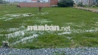 Bán Đất Giáp Thi Trấn Đức Hoà, Cách SG 15Km. Sổ Sẵn Cầm Tay