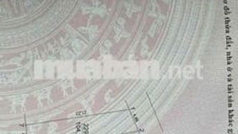Thôn Hội Phụ Đông Hội Đông Anh Hà Nội  Lô đất có diện tích 104m² pháp