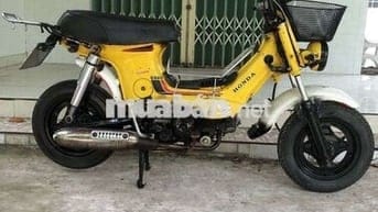 Chaly BsSG Giấy chuẩn, lên đề. Máy im ru, mạnh bốc