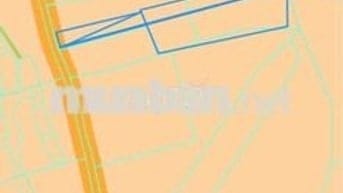 Đất Trồng Cây CN Lâu Năm và Ở Nông Thôn