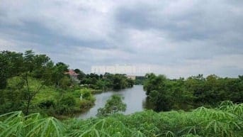 Cắt lỗ lô đất bám Hồ, tay chạm nước chân núi Ba Vì