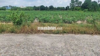Bán đất ấp 1 tóc tiên, nay là xã châu pha tphcm