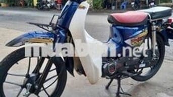 CUB 50cc cho học sinh