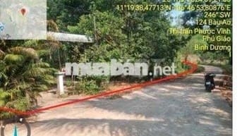 Bán ĐGTS đất tại xã Phú Giáo, TP. Hồ Chí Minh
