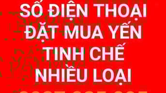BH:YẾN TINH CHẾ .SỐ ĐIỆN THOẠI ĐẶT YẾN TINH CHẾ NHIỀU LOẠI