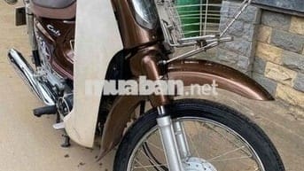 cub 50cc bst ngay chu