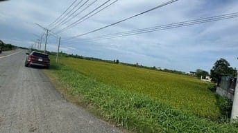 Bán 4.100 m2 đất mặt tiền TL 872B, Gò Công Tây, Tiền Giang, 5,5 tỷ TL