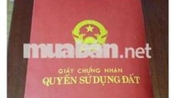 chính chủ sát tam trinh cần bán