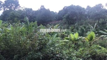 Bán 4888m Đất Mặt Tiền Kinh Doanh