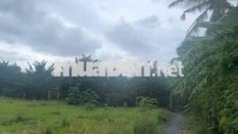**  BÁN GẤP ĐẤT PHƯỚC THẠNH - GIÁ THỞ OXI